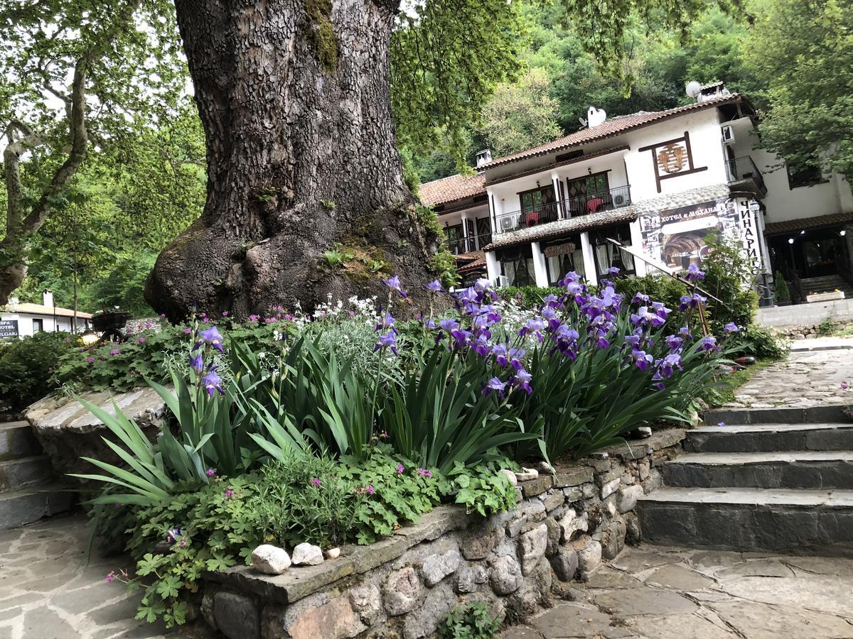Chavkova House Melnik (Blagoevgrad) Exterior foto