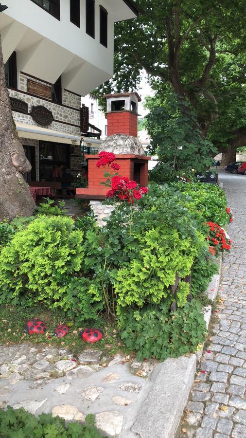 Chavkova House Melnik (Blagoevgrad) Exterior foto